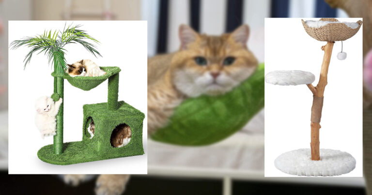 The PURRRFECT cat tree for your furry friend!